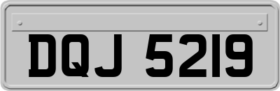 DQJ5219