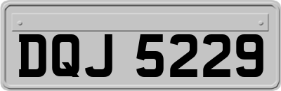 DQJ5229