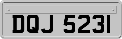 DQJ5231