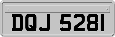 DQJ5281