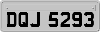 DQJ5293
