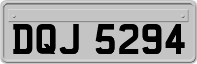 DQJ5294