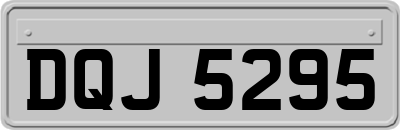 DQJ5295