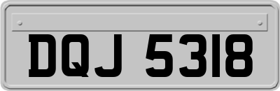 DQJ5318