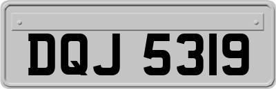 DQJ5319