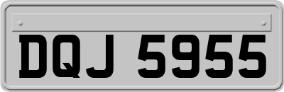 DQJ5955