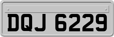 DQJ6229