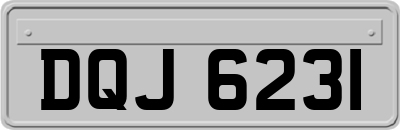 DQJ6231