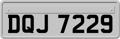 DQJ7229