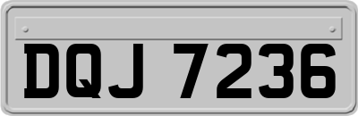 DQJ7236