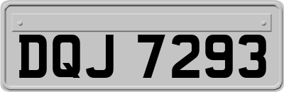 DQJ7293