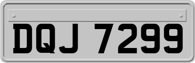 DQJ7299