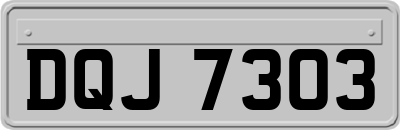 DQJ7303