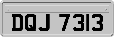 DQJ7313