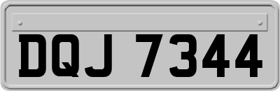 DQJ7344