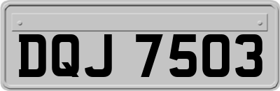DQJ7503