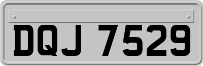 DQJ7529