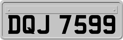 DQJ7599