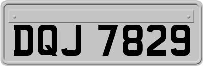 DQJ7829