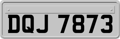 DQJ7873