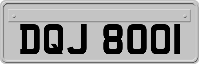 DQJ8001