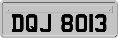 DQJ8013