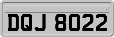 DQJ8022