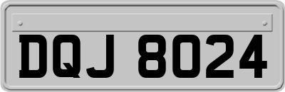 DQJ8024