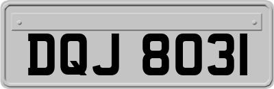 DQJ8031