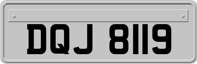 DQJ8119