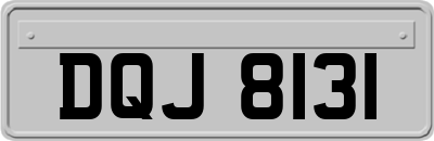 DQJ8131