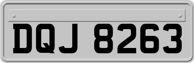 DQJ8263