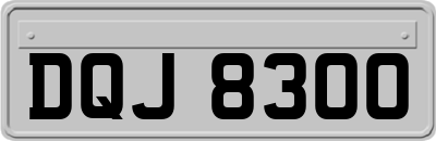 DQJ8300
