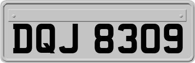 DQJ8309