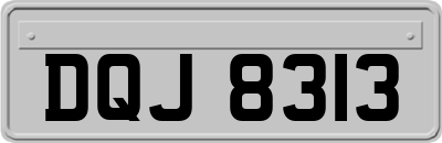 DQJ8313