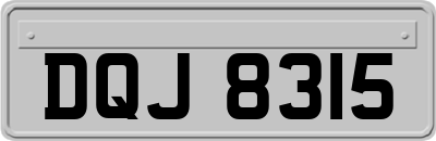 DQJ8315