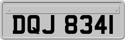 DQJ8341