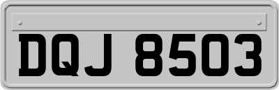 DQJ8503