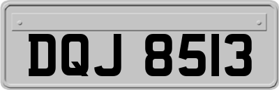 DQJ8513