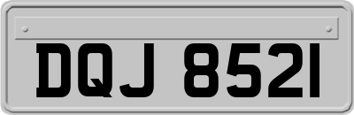 DQJ8521