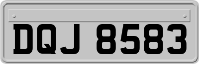 DQJ8583