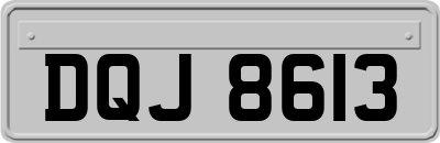 DQJ8613