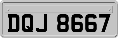 DQJ8667