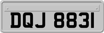 DQJ8831