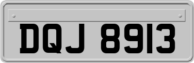 DQJ8913