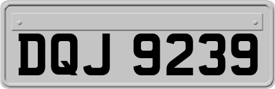 DQJ9239
