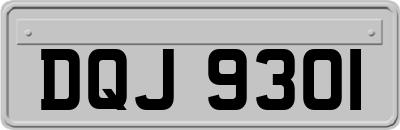 DQJ9301