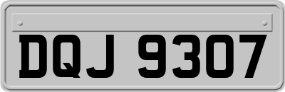 DQJ9307
