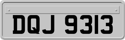 DQJ9313