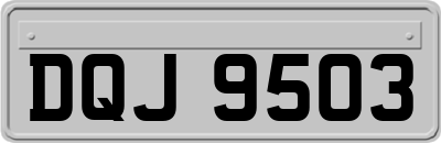DQJ9503